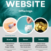 Professional Web design